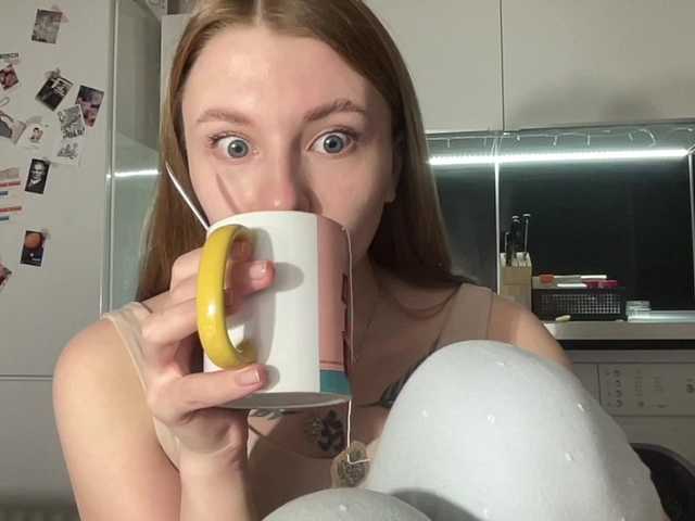 Емитувани слики од екранот agentmary