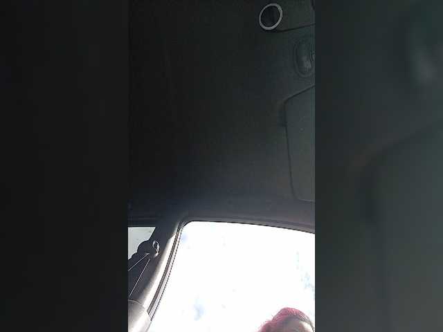 Емитувани слики од екранот AlisaFist