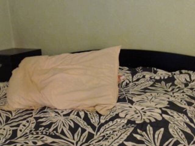 Емитувани слики од екранот Alissia_Kiss