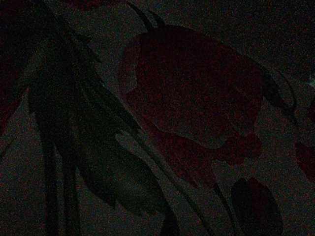 Емитувани слики од екранот Rosalia_____