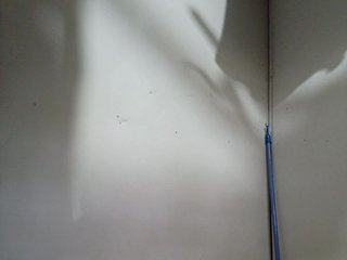 Еротски видео разговор AsianBella