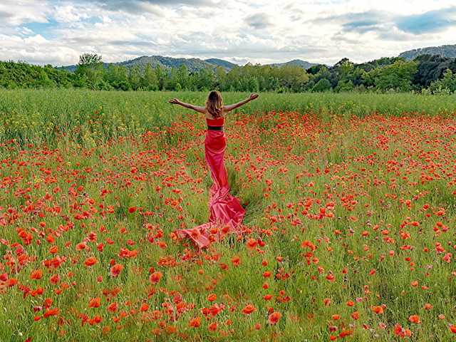 Фотографија на профилот bella-cullenn