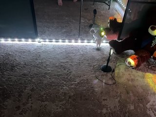 Еротски видео разговор -KOCMOC-13