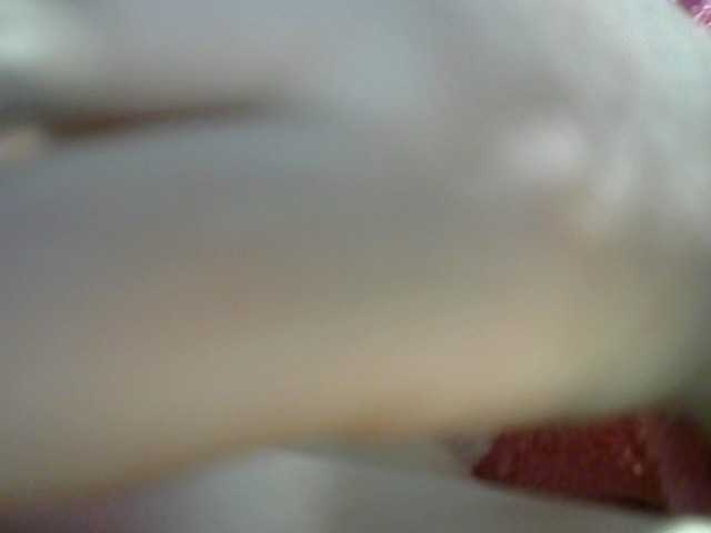 Емитувани слики од екранот t_w_i_n_k_l_e