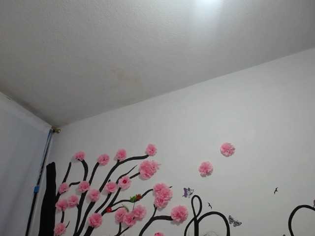 Емитувани слики од екранот RUBY-