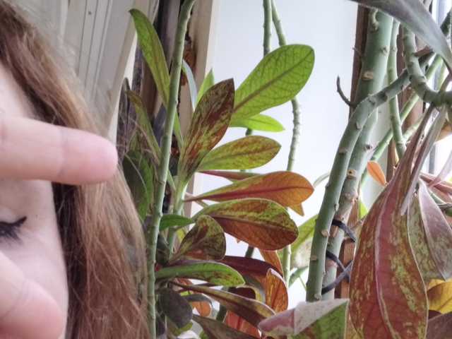 Фотографија на профилот Crazycouple8