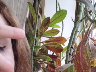 Еротски видео разговор Crazycouple8