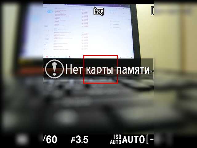Емитувани слики од екранот CrazyBunnys