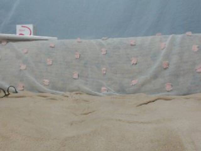 Емитувани слики од екранот DonnaWildJoyy