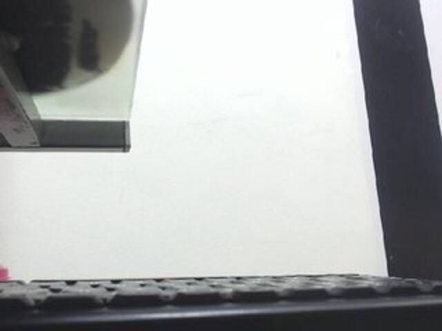 Емитувани слики од екранот Dulceik