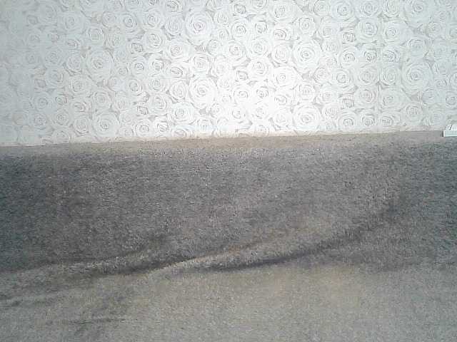 Емитувани слики од екранот ElegantBlonda