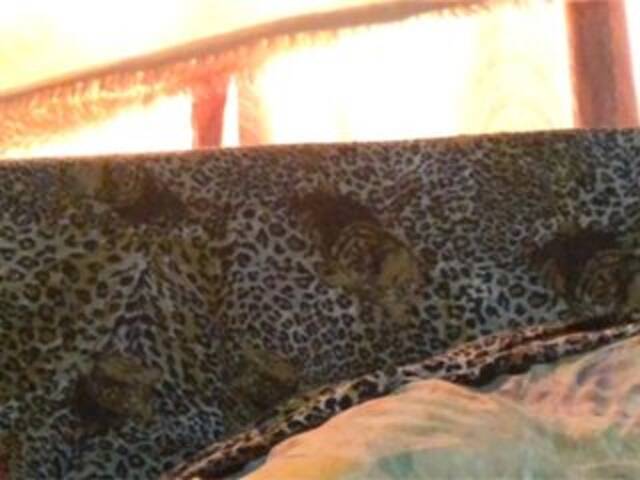 Емитувани слики од екранот Grappa01