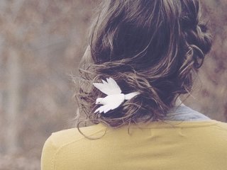 Фотографија на профилот illymaus