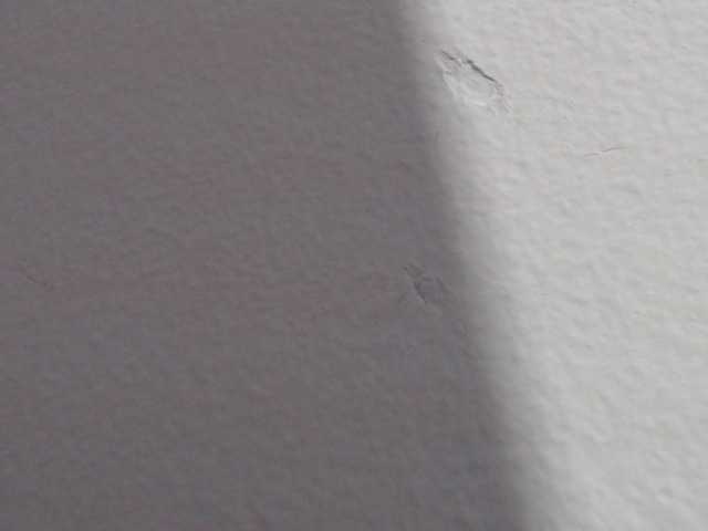 Емитувани слики од екранот Katithompson