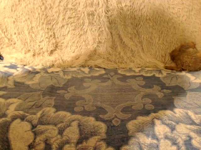 Емитувани слики од екранот La-lla