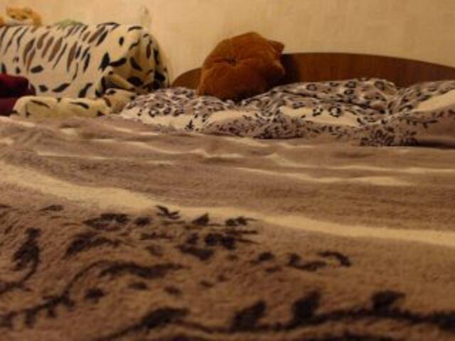 Емитувани слики од екранот LisBlackVlady