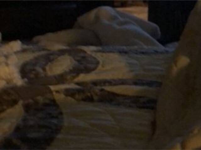 Емитувани слики од екранот Littleshorty