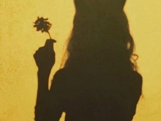 Фотографија на профилот Fiery_Phoenix