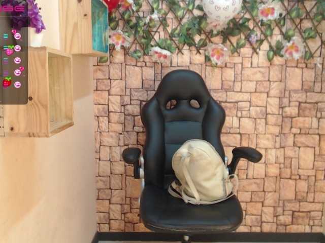 Емитувани слики од екранот Martha-Soft