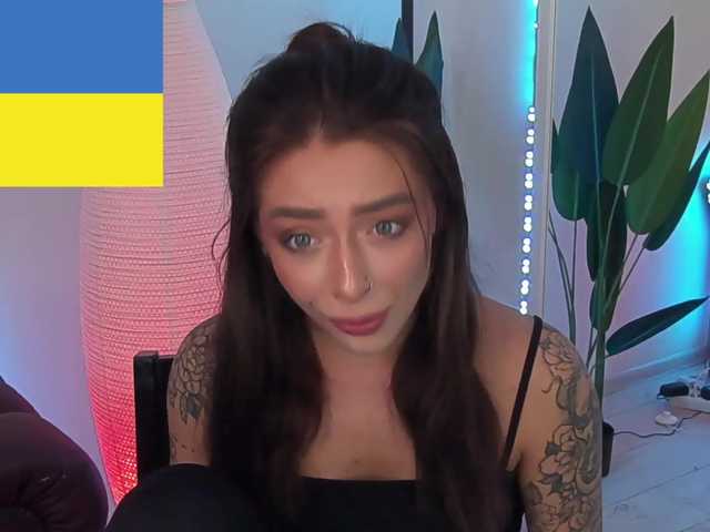 Емитувани слики од екранот MiaMeows