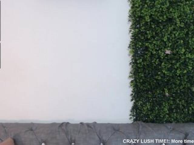 Емитувани слики од екранот NicoleThomas