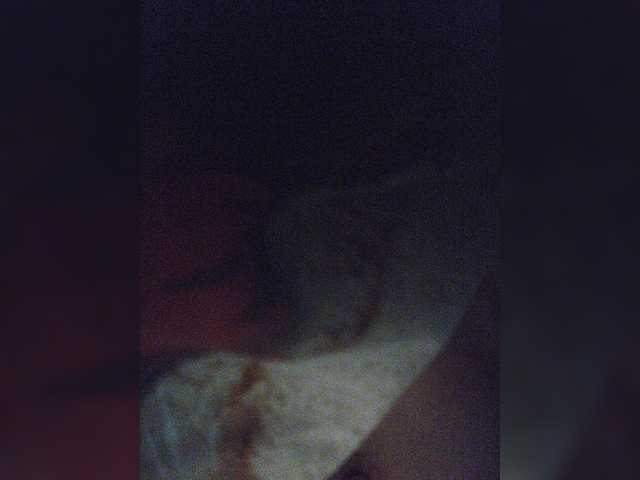 Емитувани слики од екранот small-cat