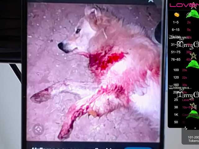 Емитувани слики од екранот sofiaclaus