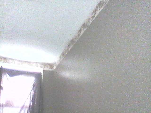 Емитувани слики од екранот supa19kitty