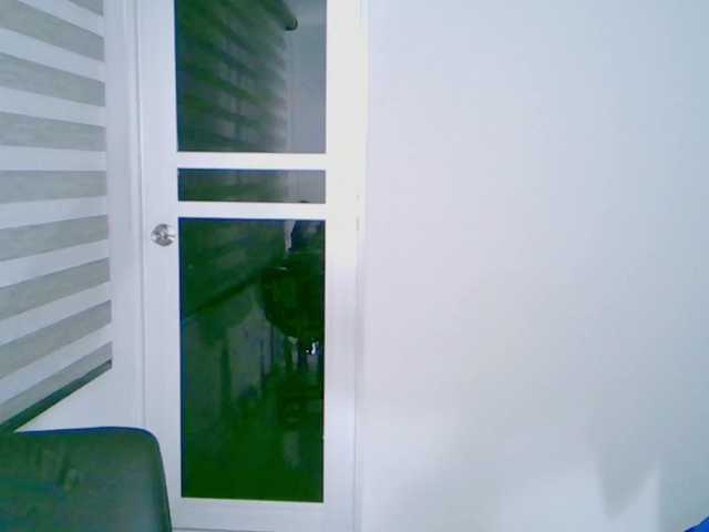 Емитувани слики од екранот susancooper