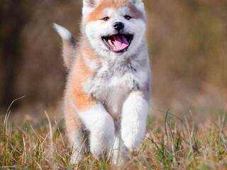 Еротски видео разговор Val309a