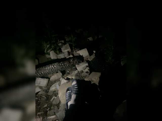 Емитувани слики од екранот Vanessa-25