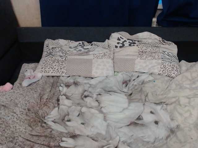 Емитувани слики од екранот VikiMax69