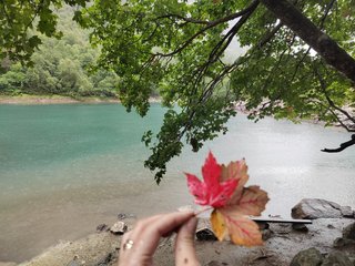 Еротски видео разговор _GoodGirl_