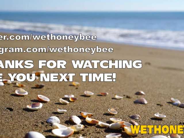 Емитувани слики од екранот wethoneybee
