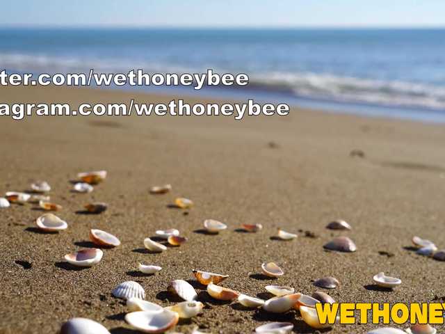 Емитувани слики од екранот wethoneybee